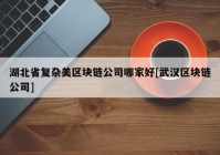 湖北省复杂美区块链公司哪家好[武汉区块链公司]