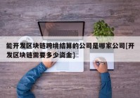 能开发区块链跨境结算的公司是哪家公司[开发区块链需要多少资金]