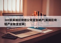 340家英国区块链公司宣告破产[英国区块链产业联盟官网]